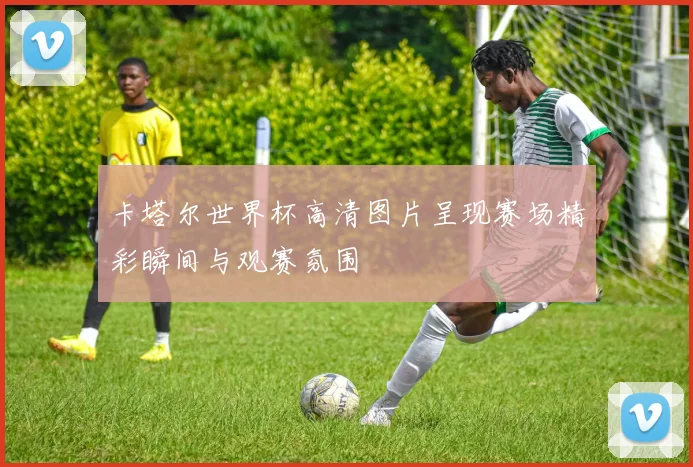 卡塔尔世界杯高清图片呈现赛场精彩瞬间与观赛氛围